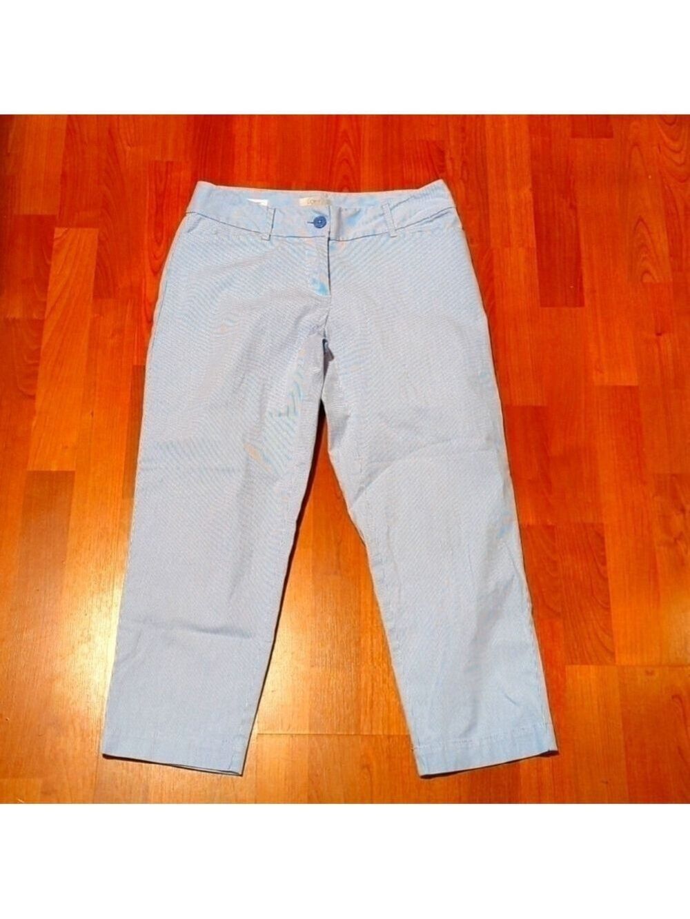 Loft Outlet Blue White Pinstripe Crop Pants Size 0 Curvy Fit